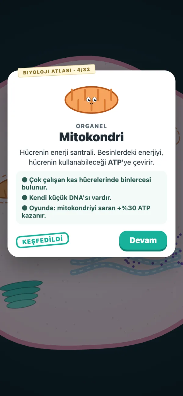 Her yeni organel Biyoloji Atlası'na bir kart ekler.